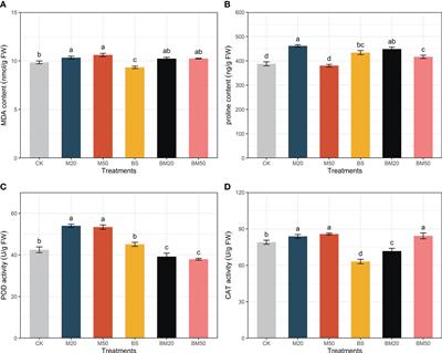 The effects of multiwalled carbon nanotubes and Bacillus subtilis treatments on the salt tolerance of maize seedlings